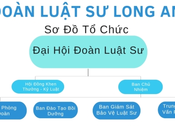 SƠ ĐỒ TỔ CHỨC